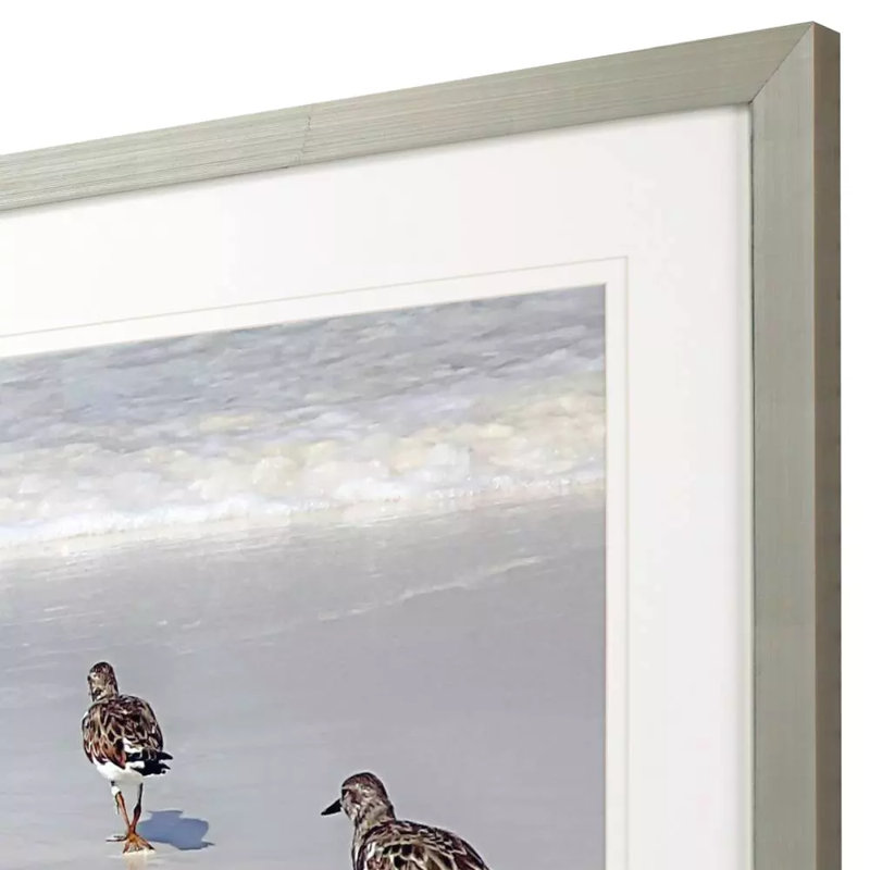 Sandpiper Reflections Framed On Print