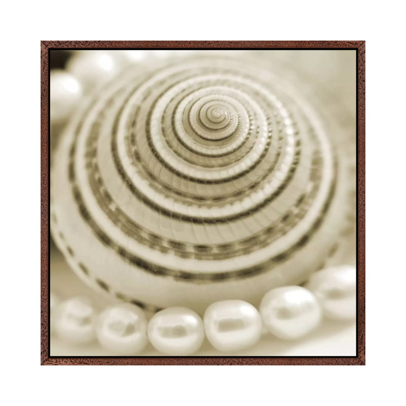 Shells And Pearls 1 - Print on Canvas, Classic Brown Wood Framed, 66.04 cm H x 66.04 cm W