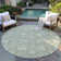 Machine Washable Indoor/Outdoor Chayden ACN1086 Aloe Rug