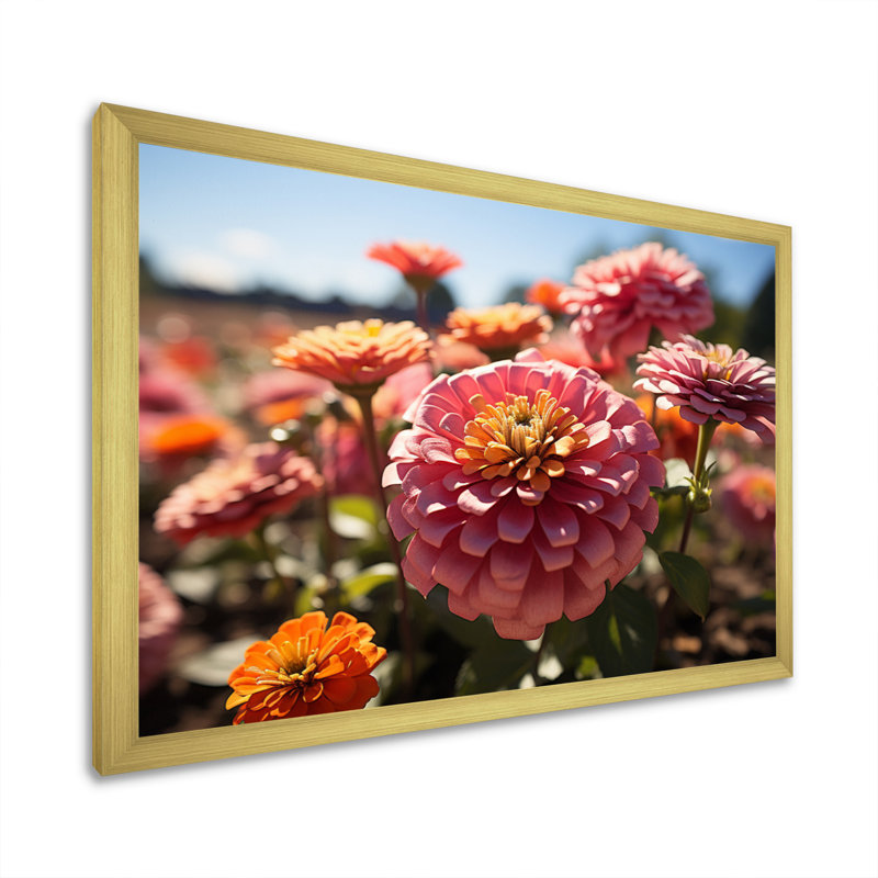 «Colorful Zinnias Field At Sunrise III», reproduction d'art sur toile, H 12 po x l 20 po x P 1 po, Or