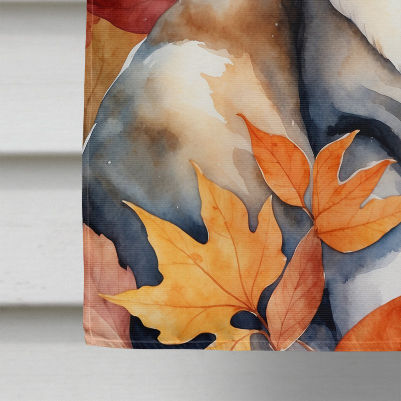 Chat en feuilles d'automne, Aphrodite Giant