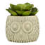 Sprague Ceramic Cachepot