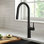 Oletto Pull Down Single Handle Kitchen Faucet