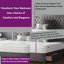 Gallego Upholstered Divan Bed-386540449-386540454-386542520