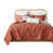 Corail est en rupture de stock