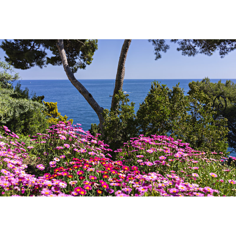 Ambriz Mediterranean Sea-Monaco by MicheleVacchiano - Wrapped Canvas Print, 30cm H x 46cm W x 3.8cm D