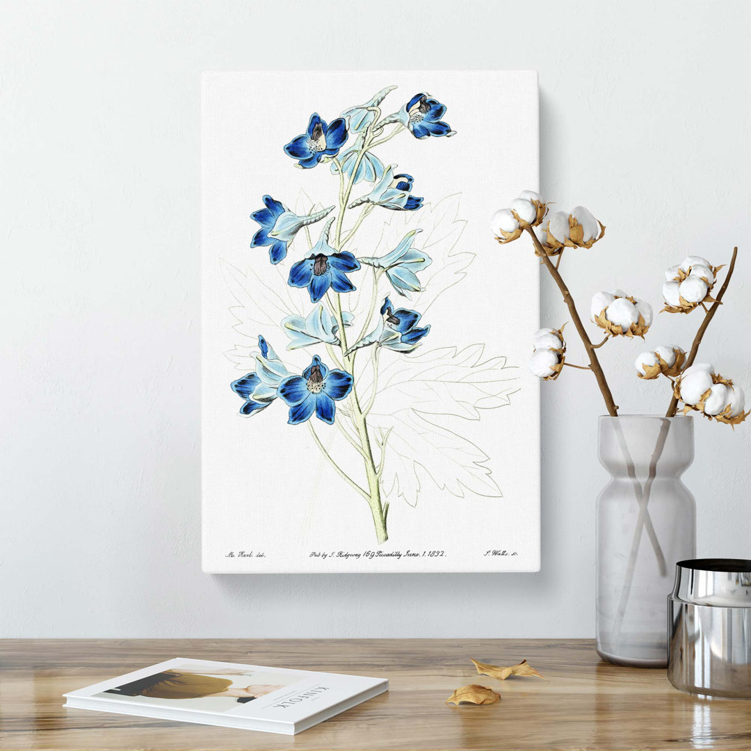 Blue Larkspur Flowers - Wall Art