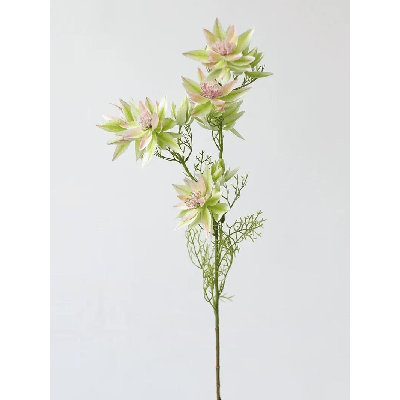 Blush Star Bloom Spray â€“ 27"