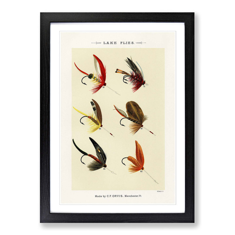 Lake Fishing Flies Version 8 by Mary Orvis Marbury - Picture Frame Painting Print, 50cm H x 35cm W x 2cm D, Black