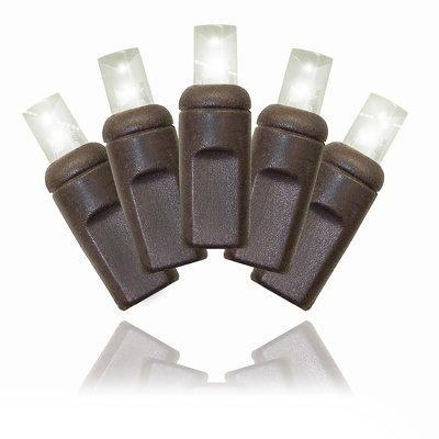 Jocimar Outdoor 50 - Bulb 300'' Plug-in String Lights String Light