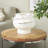 Acuna Ceramic Floral Inspired Abstract Vase-1653204824