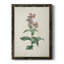 Toile encadrée de qualité supérieure Traditional Botanical II - prête à être accrochée-98786596-98786597