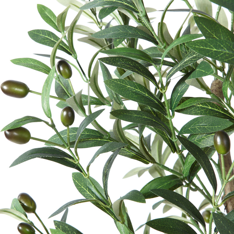 Olive artificielle en pot Adcock, H 59 po x l 40 po x P 40 po, 1