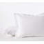 Cloud Soft Sateen Sateen Sham-67466989-103282972