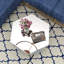Amla  Hexagonal Glass Coffee Table Drum 