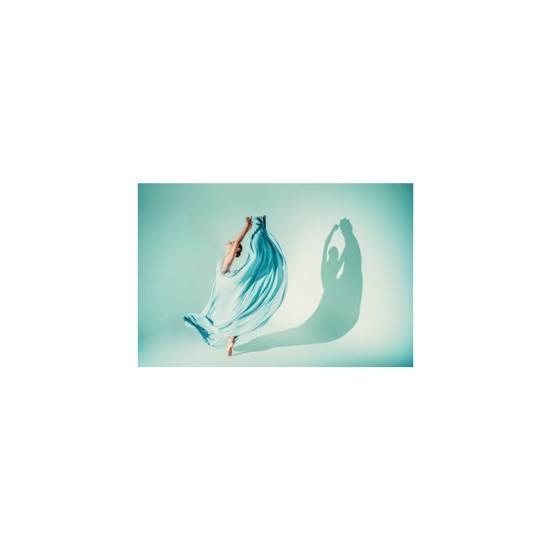 Wrapped Canvas Print, 50.8cm H x 76.2cm W