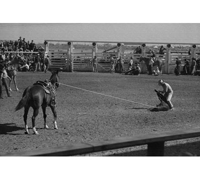 " Roping Contest " by Russell Lee