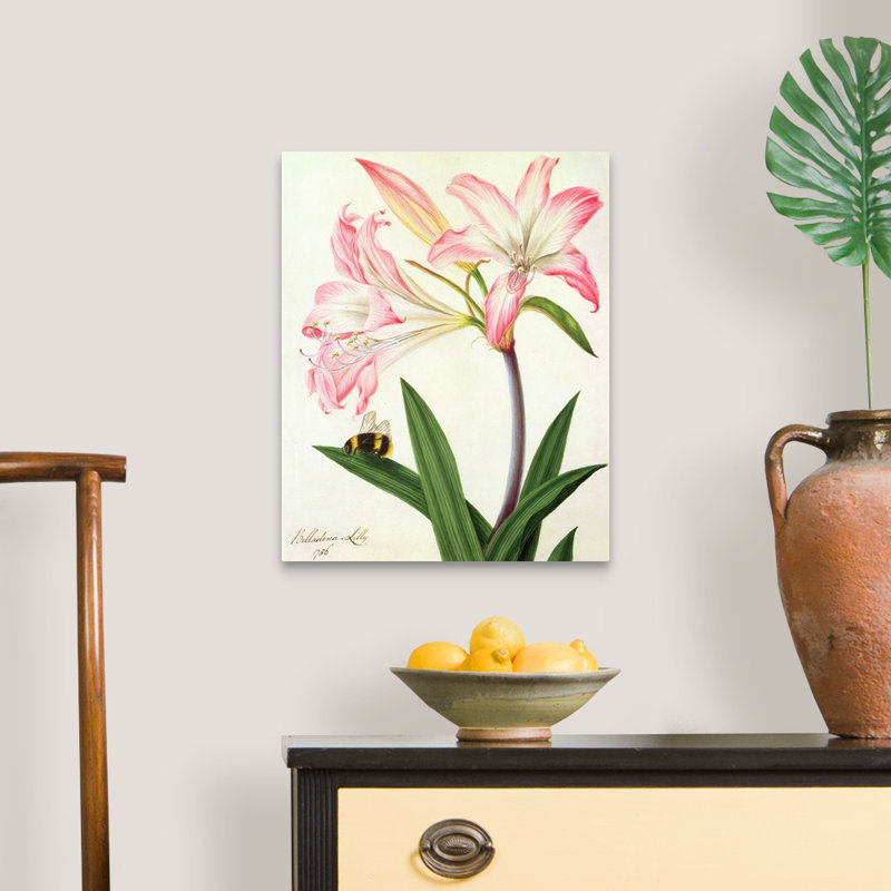 «Lilium Belladonna and Bee, 1786» par Matilda Conyer, reproduction sur toile, Toile tendue, H 20 po x l 16 po x P 1,25 po