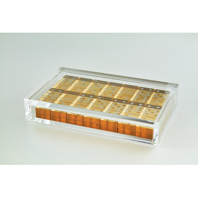 Lucite Domino Set