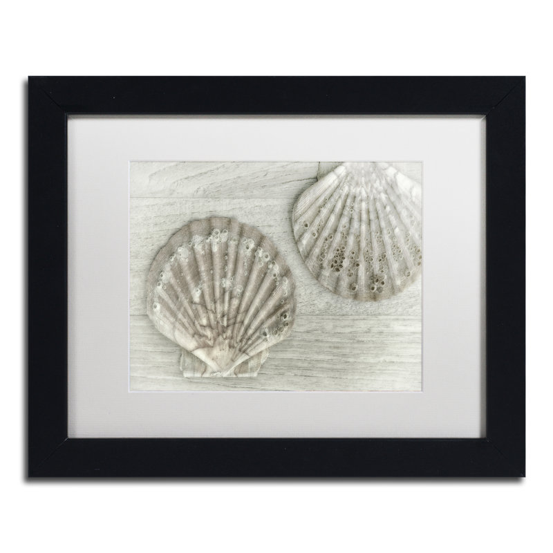 «Two King Scallop Shells», reproduction de photo sur toile encadrée, H 11 po x l 14 po x P 0,5 po, Noir