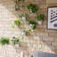 Wall Planters For Indoor Vertical Gardens, Set Of 6, Self Watering