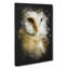 Barn Owl Vol.2 - Wrapped Canvas Print-61886051