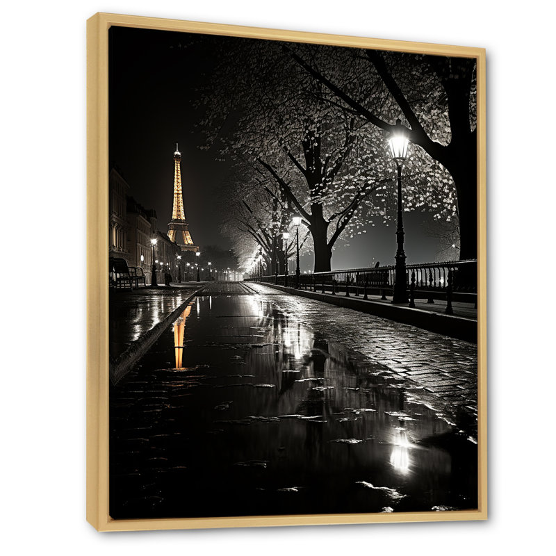 Parisian Moonlit Night I - Paris, reproduction d'art encadrée, H 20 po x l 12 po x P 1 po, Cadre flottant en érable