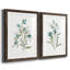 Linen Botanical III - ensemble de 2 reproductions d'art-1345068774-1345068775-1345068768