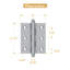 2.5'' x 2'' Butt Bearing Hinge-14748797