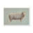 Badilla Sheep Strut III by Marilyn Wendling - Painting-862318469-862318474