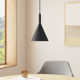 Laroche Single Light Metal Steel Dimmable Pendant