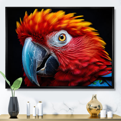 " Red Parrot Colourful Parrot "