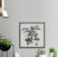 Indoor Tropical Garden II - Single Picture Frame Painting-40568447