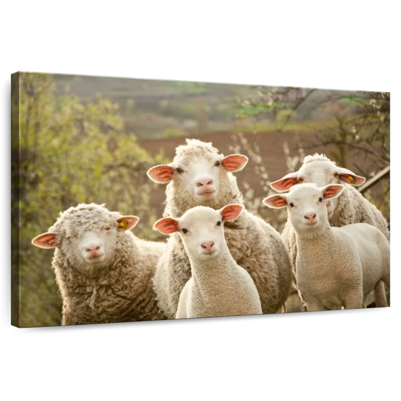 Stunned Sheep, 34" H x 51" W