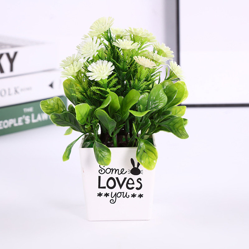 Arrangement floral de chrysanthèmes en pot, Blanc