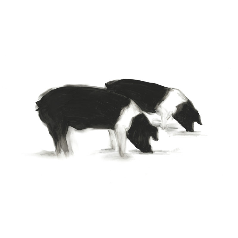European Farm Collection VIII by Ethan Harper - Wrapped Canvas Painting, 20cm H x 30cm W x 3.8cm D