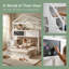 Lit superposé simple au-dessus d'une chambre double avec escalier de rangement et tableau noir Dreamy-331827474