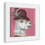Llama Animals-47565723-47565721