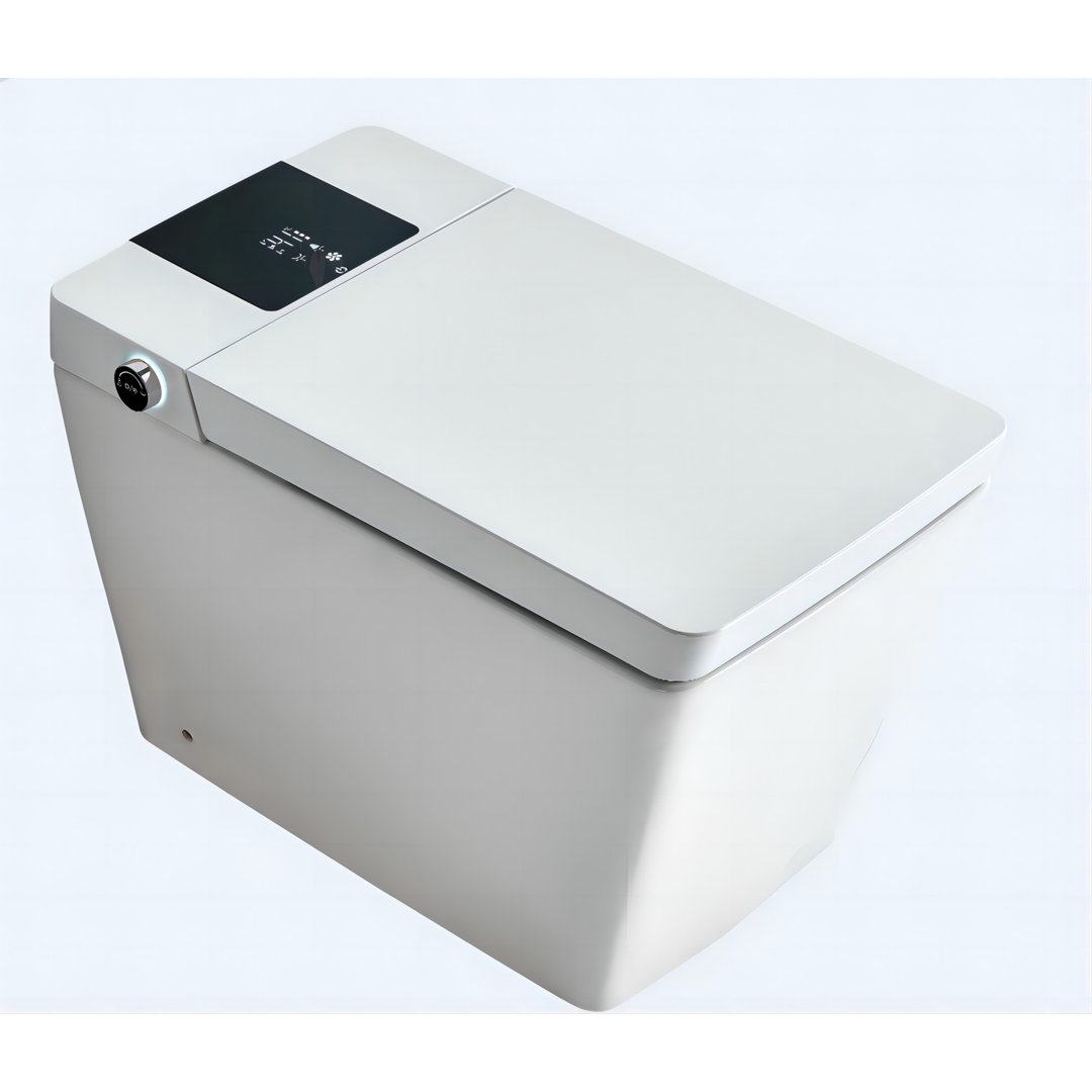 MEDUNJESS 1.28 Gallons GPF Elongated Floor Mounted Bidet Toilet (Seat Included) MEDUNJESS 