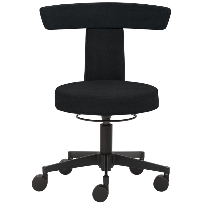 Gilgardo Backed Adjustable Backrest Adjustable Height Lab Stool with Removable Casters/Wheels