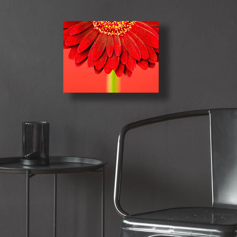 "Red Gerbera On Red 04" par Tom Quartermaine, H 12 po x l 16 po x P 0,13 po