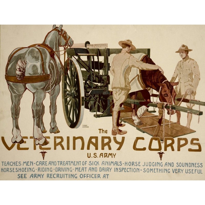 Corps. Armée américaine