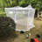 Cecelia Bed Canopy