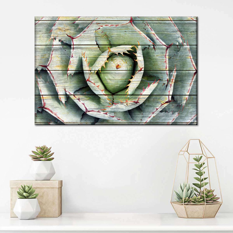 Agave rustique sur toile, H 20 po x l 30 po x P 1,25 po