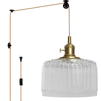 1-light Plug-in Single Pendant