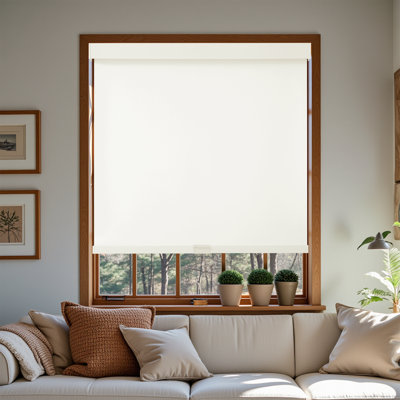  Blackout Cordless Roller Shades with Valance for Windows, Free-Stop, Thermal Insulated Fabric, UV Protection, Natural Woven Blinds for You