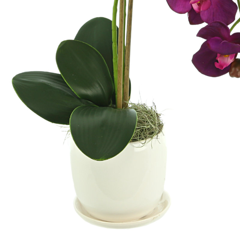 Orchid Arrangement In A Ceramic Pot With Orchid Leaves