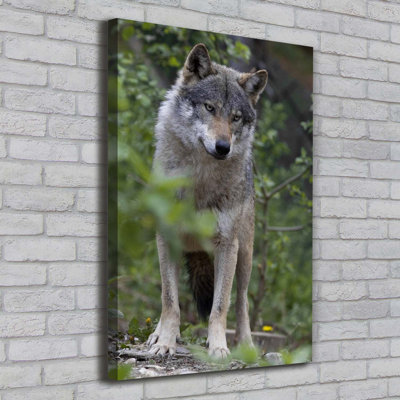A Wolf In The Forest - Wrapped Canvas Print