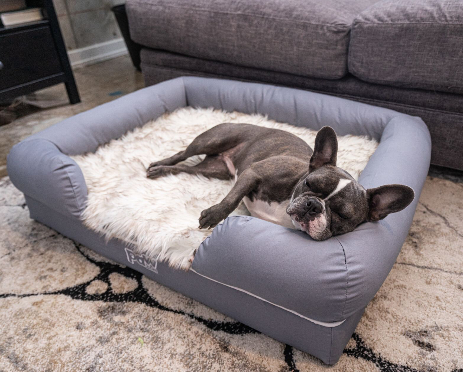 Paw Brands PupLounge Memory Foam Bolster Bed & Topper & Reviews Wayfair