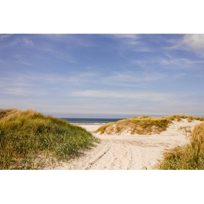 Été dans les dunes par Sjo